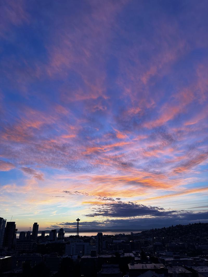 Featured image of post Space Needle Gallery